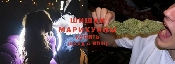 трава Магас
