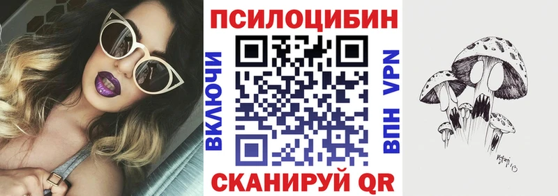omg   Элиста  Псилоцибиновые грибы прущие грибы 
