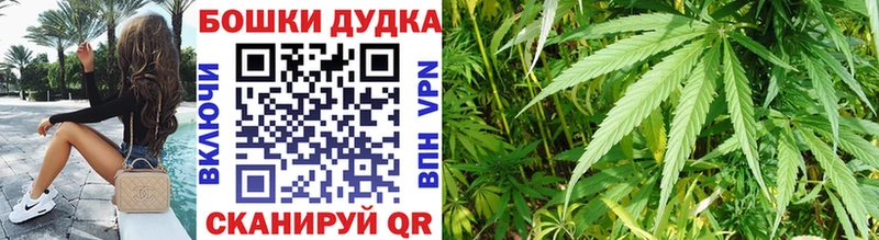 где можно купить   МЕГА как зайти  Бошки марихуана ГИДРОПОН  Элиста 